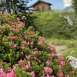 Kristiania 5*